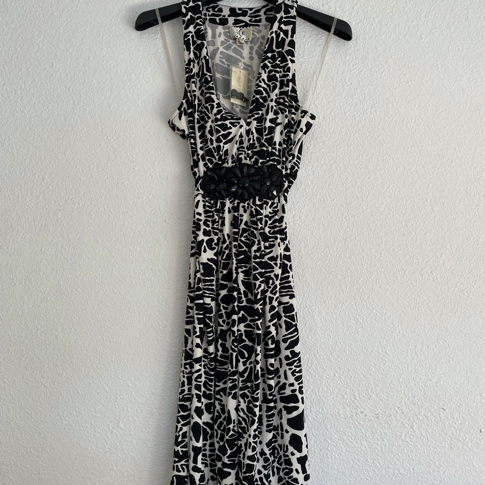 Little Black and White Dress 14